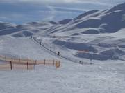 Trattalmmulde - Tapis roulant/Tappeto Magico