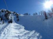 Pista di gobbe al Gartnerkofel