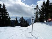 Glades - discese boschive diradate per esperti