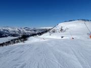 Pista Telemarken n. 22 (Geilohovda)