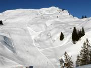 Plateaulift - Skilift con T-bar/ancora