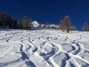 Tracce nella neve fresca