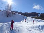 Riedlift - Skilift a piattello