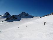 Ampie e facili piste al Tiefenbachferner