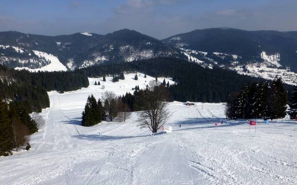 Sciare nel Circondario di Waldshut