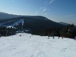 Hundseck - Bühlertallifte