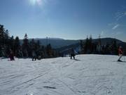 Discesa sciistica presso Hundseck