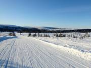 Vista da Lindvallen verso Högfjellet