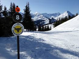 Rinderberg/Saanerslochgrat/Horneggli - Zweisimmen/Saanenmöser/Schönried/St. Stephan