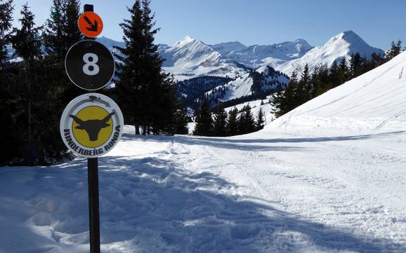 Comprensori sciistici per sciatori esperti e freeriding Gstaad – Sciatori esperti, freerider Rinderberg/Saanerslochgrat/Horneggli - Zweisimmen/Saanenmöser/Schönried/St. Stephan
