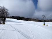 Pista Central Street