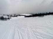 Discesa Frognerbakken