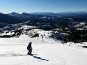 Pista n. 21 Laurin II