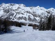 Pista Prasüra (discesa a valle)