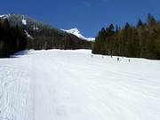 Pista facile e larga Incline