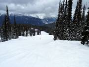 Pista di collegamento Ripper Connector