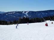 Pista facile e larga Chevreuil