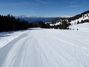 Pista intermedia Doladizza