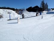 Nastro trasportatore gratuito Rullis