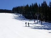 Weitmoos-Tellerlift - Skilift a piattello