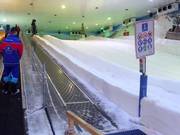 Snow City Egypt 2 - Tapis roulant/Tappeto Magico