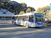 Bus navetta al Mt. Buller