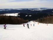 Discesa di media difficoltà presso la seggiovia Almberg