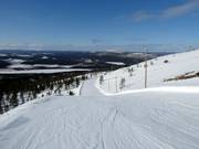 Pista intermedia W.1