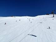 Pista Poligon Triglav-FIS