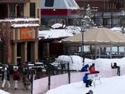 Suggerimento su ristorazione The Farm