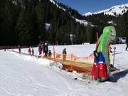 Bunny Express 1 - Tapis roulant/Tappeto Magico