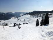 Vista dalla discesa Winkellift verso il Franzosenberg