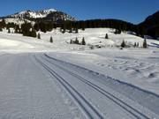 Piste da fondo Valepper Almen allo Spitzingsee