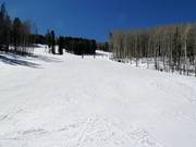 Discesa ad Arrowhead Mountain