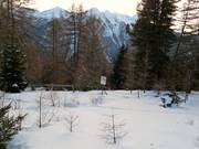 Recinzione delle aree forestali protette