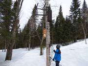 Pista avventura per bambini