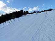 Discesa n. 60 Wagstätt