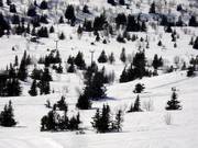 Galtenheisen - Skilift con T-bar/ancora