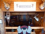 Moosehead Bar nell'Abom
