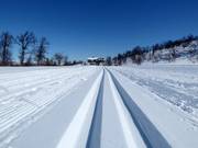 Piste da fondo a Geilo