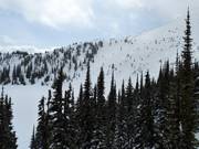 Piste difficili di neve fresca The Cliff