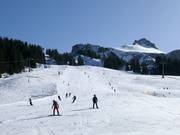 Pista facile presso la seggiovia Rossstelle a Mellau