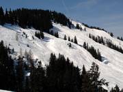 Pendii di neve fresca al Brandstadl