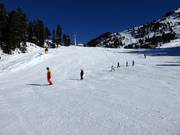 Principianti alla seggiovia Wesele