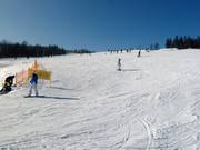Piste facili presso gli impianti di risalita Thurnhof