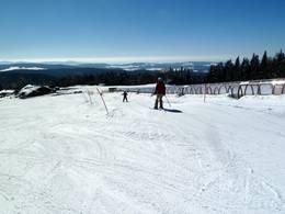 Mitterdorf (Almberg) - Mitterfirmiansreut