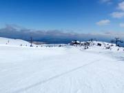 Pista facile Wintergarden