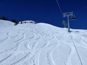 Pendii di neve fresca non protetti