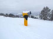 Cannone da neve nell’area sciistica Snow King Mountain