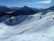 Terreno freeride senza alberi tra le piste